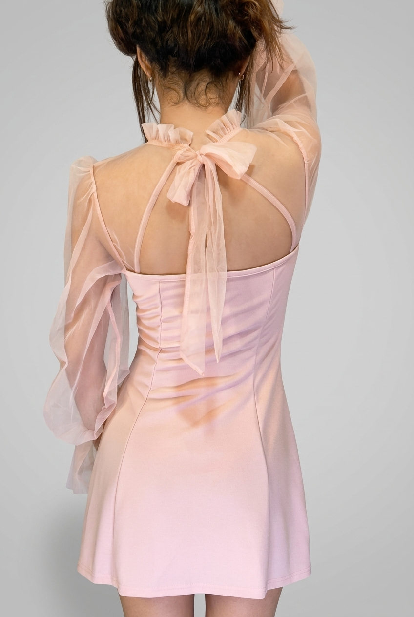 Sheer Mesh Bolero Mini Dress
