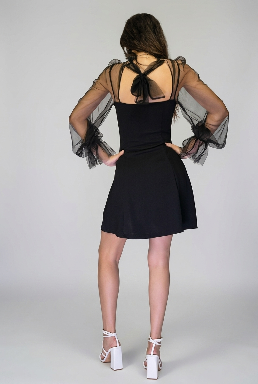 Sheer Mesh Bolero Mini Dress